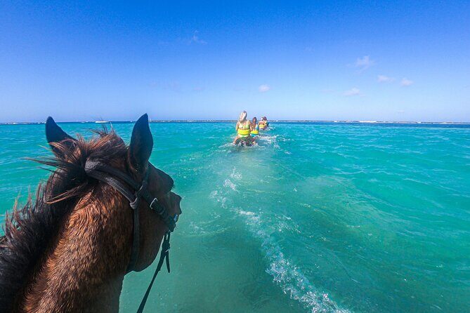 Jamaican Coastline Adventure: Horses, Dunns River Falls and Zip - Exploring Jamaica’s Coastline on an Action-Packed Day
