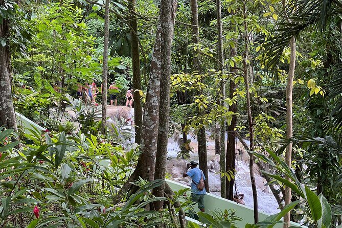 Jamaican Escapade Experience Dunn's River's Natural Majesty - Why Choose This Tour?