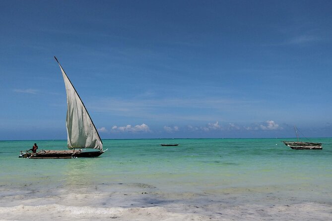 Jambiani Village Tour and Dhow Sailing - Village Life Experience