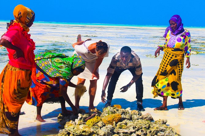 Jambiani Village Tour and Dhow Sailing - Traditional Dhow Sailing
