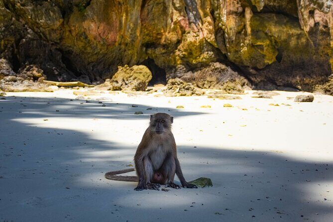 James Bond Island and PhangNga Bay Tour by Speedboat - Final Thoughts