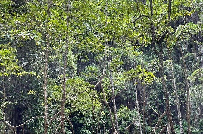 Jamesbond Island Canoeing Trip by Big Boat - Who Will Benefit Most?