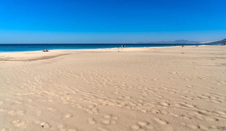 Jandía Natural Park and Cofete Beach Guided Trip by Jeep - Experience Highlights