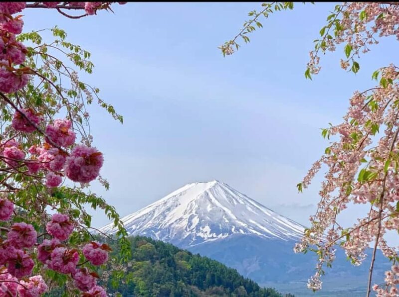 Japan: 4-Day Mt.Fuji, Hakone, Nikko & Snow Monkey Highlights - Discovering Japan’s Top Sights in Four Days