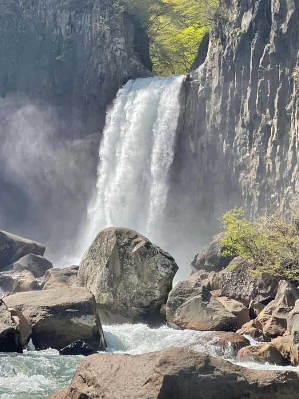 Japan: 6-Day Private Guided Tour with Accommodation - Good To Know