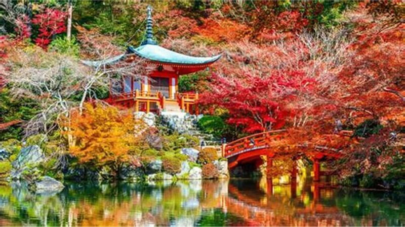 Japan: 7-Day Private Tour with Driver and Guide - Good To Know