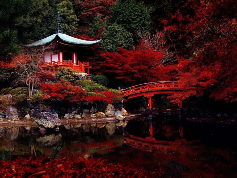 Japan: 7-Day Private Tour with Driver and Guide - Introduction: Why Consider a Private Japan Tour?