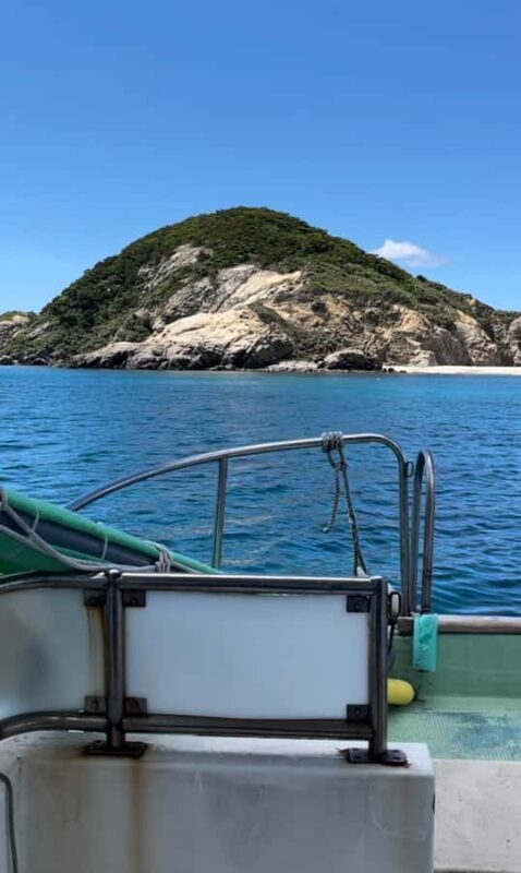 Japan: 7-Day Tour of Tokyo, Osaka, Kyoto & Hiroshima - Final Thoughts: Is This Tour Right for You?