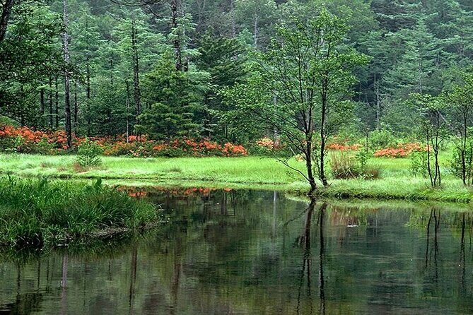 Japan Alps [Kamikochi Day Tour]Roundtrip from Nagoya - FAQ