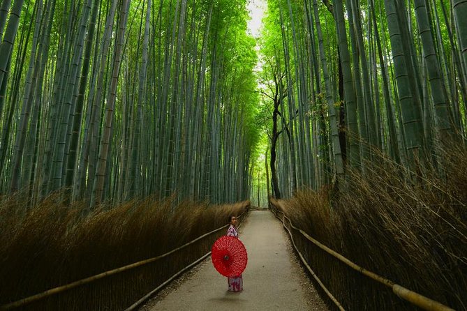 Japan Autumn & Winter Illuminations Discovery Tour (12 Days) - Pricing and Booking Details