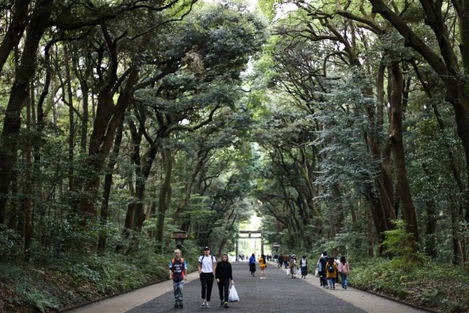 Japan Autumn & Winter Illuminations Discovery Tour (12 Days) - Common Questions