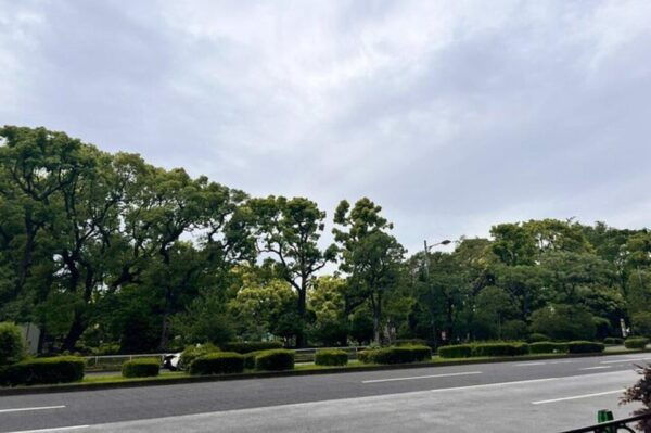 Japan Broadway Area Walking Tour - Tips for Participants