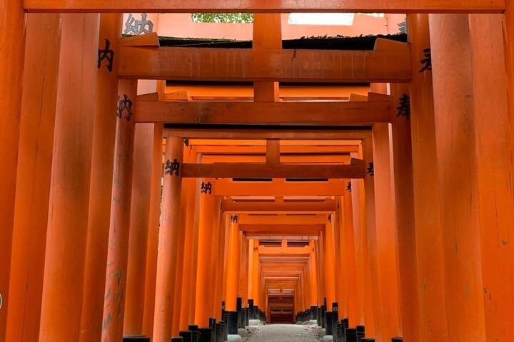 Japan Classic 10 Day - One Life Adventures: Tokyo to Osaka - Kyoto: torii gates, tea and a Kendo lesson
