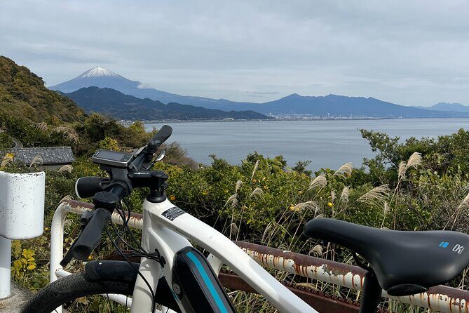 Japan Culture E-Bike Tour with Mt. Fuji View from Shimizu port - Authenticity and Personal Touch