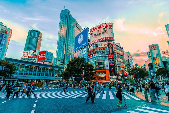 Japan Discovery Tour (12 Days) - Whats Included in the Tour