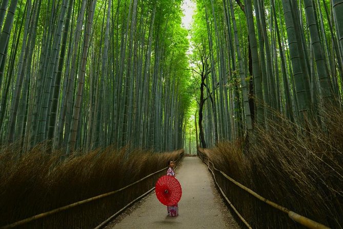 Japan Discovery Tour (12 Days) - Common Questions