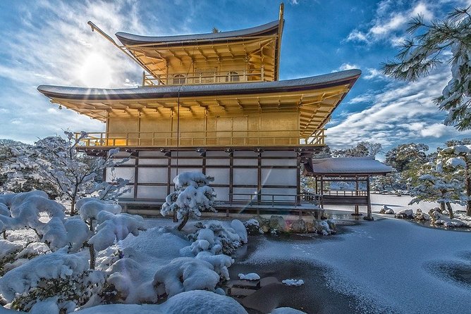 Japan Full Day Guided Mini Van Tour  - Sennichimae - Highlights of the Sennichimae Guided Mini Van Tour