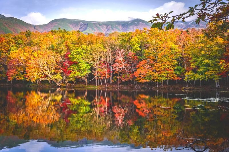 Japan, Hokkaido | Eastern Hokkaido Chartered Car Tour: Abashiri - Shiretoko Utoro Customized 5/7-Hour Chartered Car | Flexible Itinerary - Private-car value depends on your group and plan