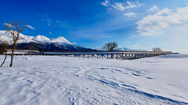 Japan, Hokkaido | Eastern Hokkaido Chartered Car Tour: Abashiri - Shiretoko Utoro Customized 5/7-Hour Chartered Car | Flexible Itinerary - Seating, luggage, and winter details