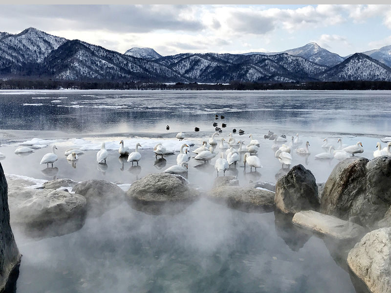 Japan Hokkaido | Eastern Hokkaido Private Car Tour: Kushiro & Lake Akan Customized 5/7-Hour Private Car Charter | Flexible Itinerary - Confirm the route before you climb into the car