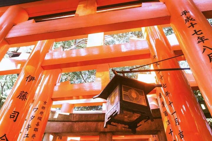 Japan in a Week 8-Day Tour by Contiki - A fast route through three very different cities