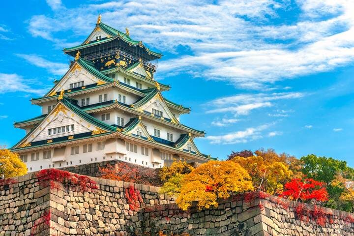 Japan in a Week 8-Day Tour by Contiki - The bullet train links Tokyo with Kyoto