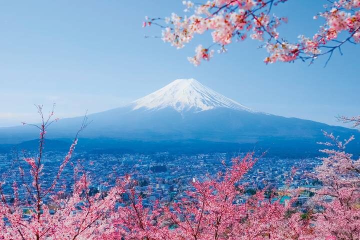 Japan In-Depth 16-Day Tour by SKR Reisen - At a glance: what this Japan tour offers