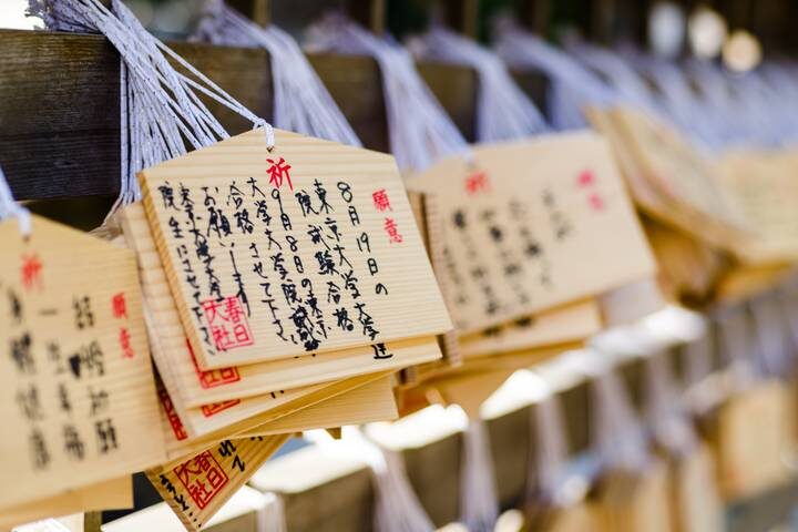 Japan In-Depth 16-Day Tour by SKR Reisen - Price, group size and what the cost covers