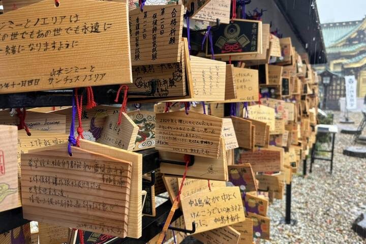 Japan In-Depth Cherry Blossom Tour by Tweet World Travel - 13 Days - Hiroshima and Miyajima add reflection and island scenery