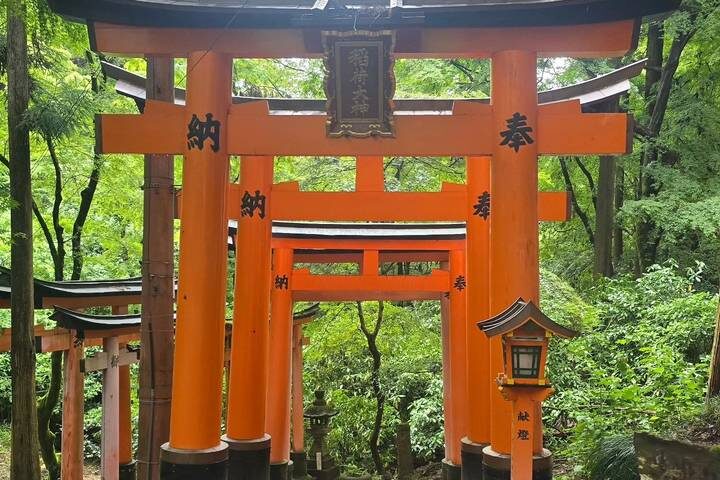 Japan In-Depth Cherry Blossom Tour by Tweet World Travel - 13 Days - Himeji and Osaka finish with a castle and street food