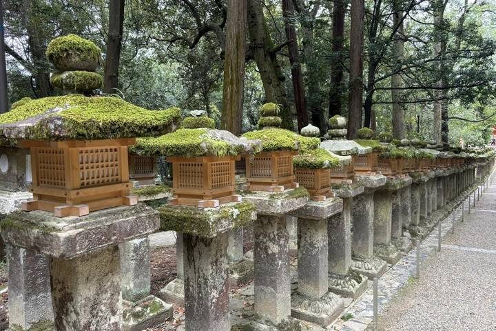 Japan In-Depth Cherry Blossom Tour by Tweet World Travel - 13 Days - What the $8,744 starting price covers