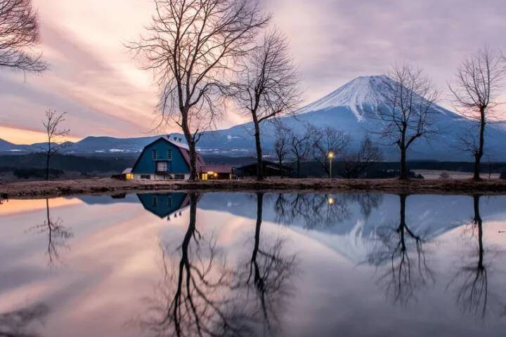 Japan In Depth - Footsteps of the Shogun by Explore! - 12-Day Tour - Tea country and two nights on Hirado