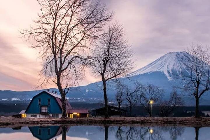 Japan In Depth - Footsteps of the Shogun by Explore! - 12-Day Tour - What the price covers, and what to budget for