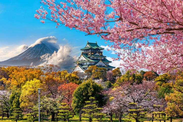 Japan in Winter by Train (Plus Ski) 14-Day Tour with Contiki - Sapporo is a city stay with skiing on the side