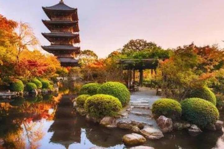 Japan & Korea Must sees by Vio Travel - 11-Day Tokyo to Seoul Tour - Tokyo opens with room to find your footing