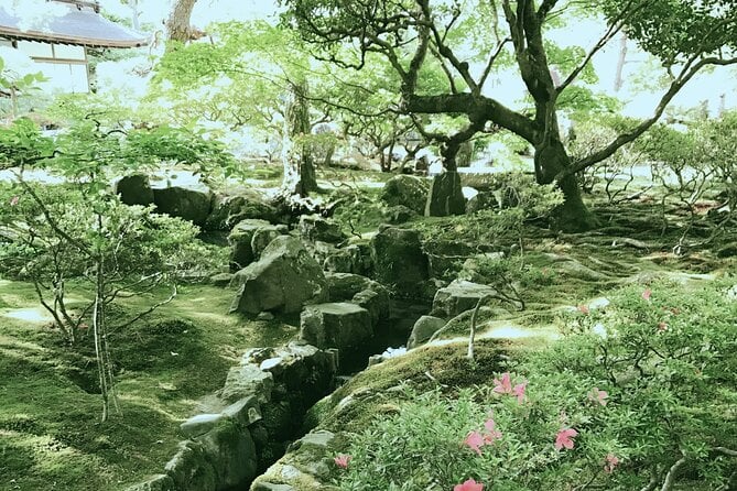 Japan Kyoto Online Tours Virtual Experience - Overview and Pricing