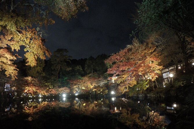 Japan Kyoto Online Tours Virtual Experience - Whats Included
