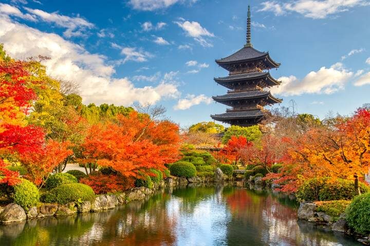 Japan: Land of the Rising Sun 12-Day Tour by Intrepid Travel - A small-group route from Tokyo to Kyoto
