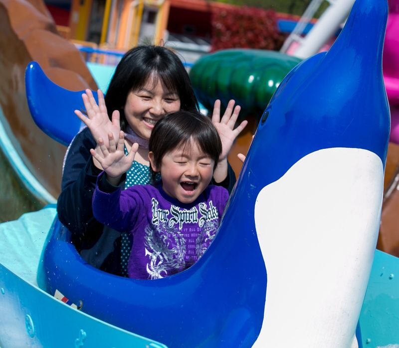 Japan Monkey Park Admission Ticket in Aichi - Hours, vouchers and a few useful cautions