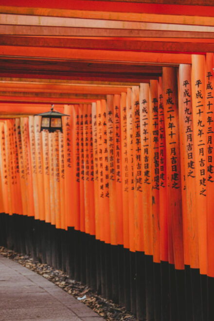 Japan Osaka/Kyoto Full-Day Tour - Route A Highlights