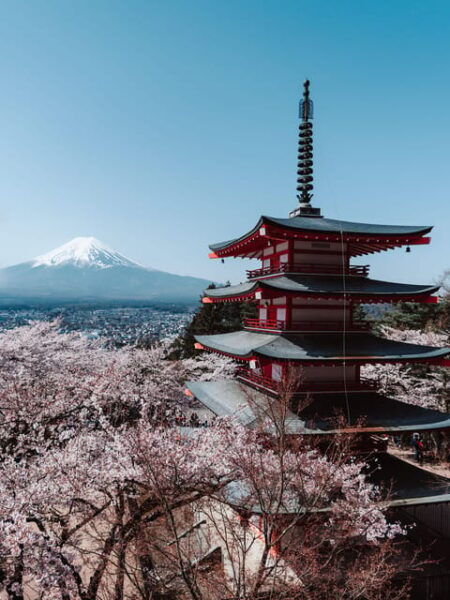 Japan Photography Tour : Iconic Places and Views - Important Restrictions