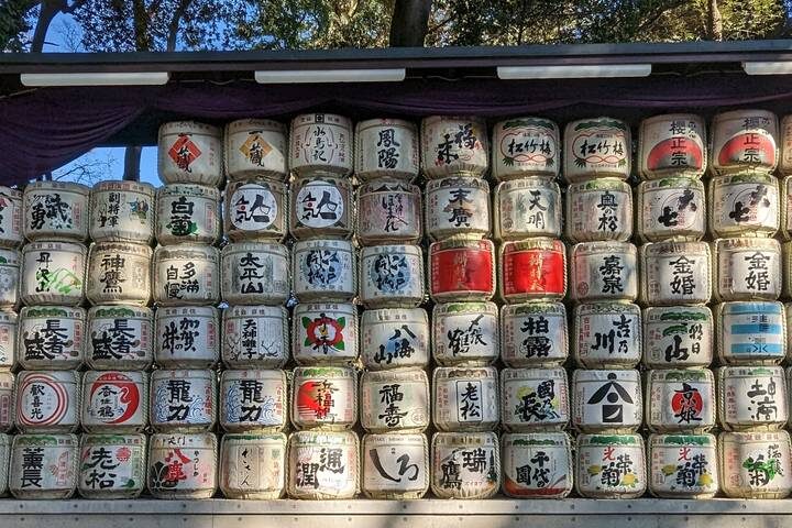 Japan Plus 11-Day Culture Tour: Golden Route & Beyond by The Dragon Trip - Your Kyoto morning: choose carefully