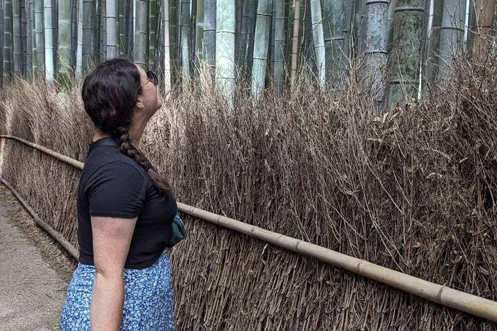 Japan Plus 11-Day Culture Tour: Golden Route & Beyond by The Dragon Trip - Miyajima and Hiroshima: beauty and remembrance