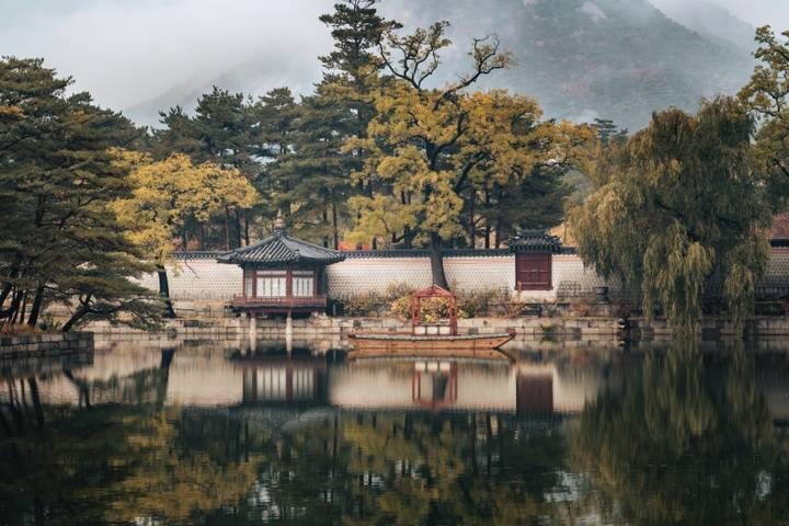 Japan Plus 11-Day Culture Tour: Golden Route & Beyond by The Dragon Trip - Pace, walking and who should book