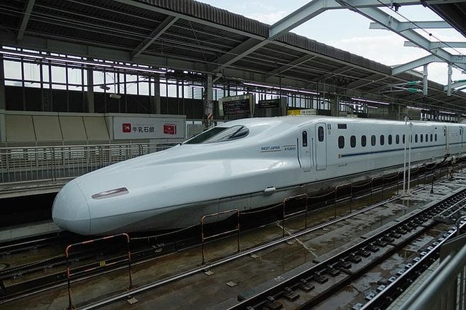 Japan Railway Station Shared Arrival Transfer : Shin Osaka Station to Osaka City - How to Locate the Driver and Vehicle