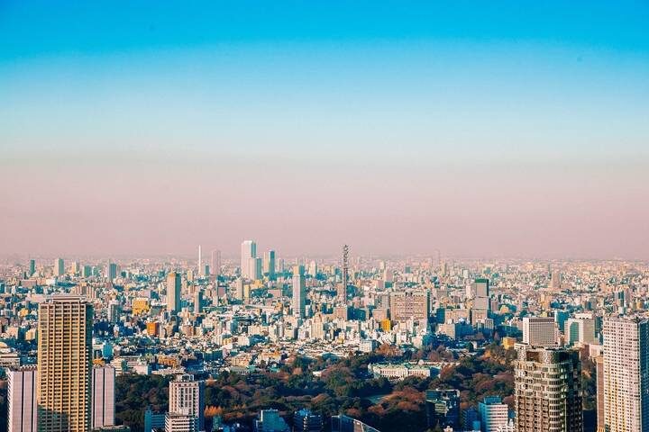 Japan Real Food Adventure by Intrepid Travel - 11 Days, Tokyo to Osaka - At a glance