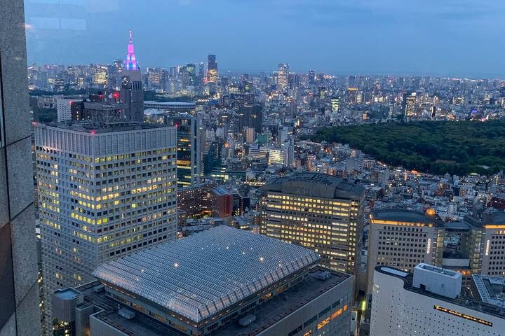 Japan Revealed 10-Day Tour by Just You - A broad Japan route, built for solo travelers