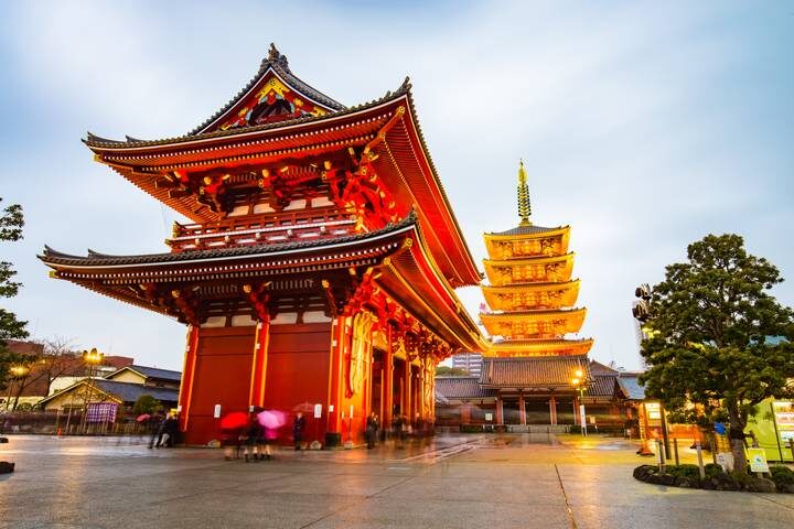 Japan Revealed 10-Day Tour by Just You - Kobe, Himeji and the final dinner
