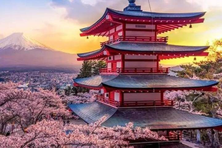 Japans Big Four 11 Days by Vio Travel - Tokyo to Hiroshima Tour - Hiroshima and Miyajima: freedom first, guided context later