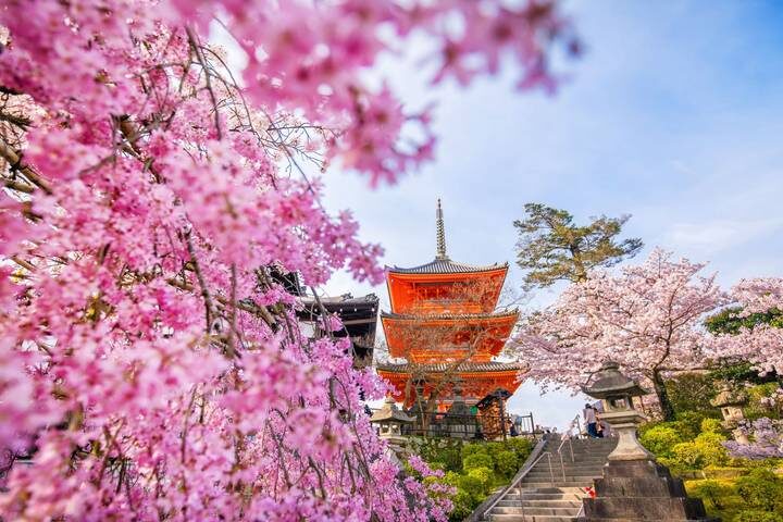 Japans Landscapes 14-Day Tour by Europamundo - Shikoku and Naruto: island travel, a castle and a long day